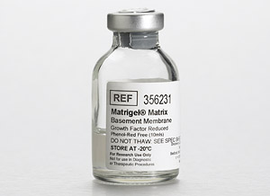 356235 BD Matrige基底膜基質(zhì)  BD BIOCOAT